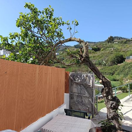 Vv Rural Finca Ecocielo Веґа-де-Сан-Матео Екстер'єр фото