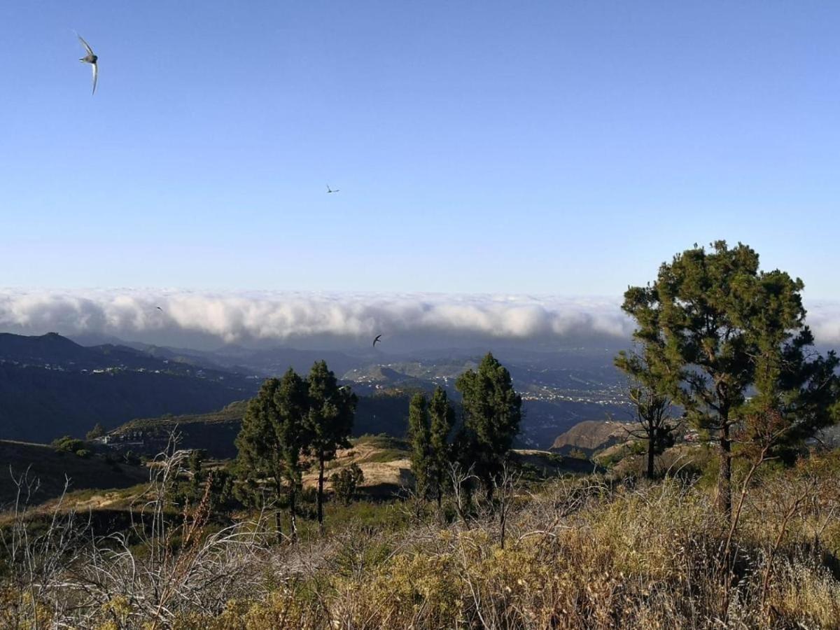 Vv Rural Finca Ecocielo Веґа-де-Сан-Матео Екстер'єр фото