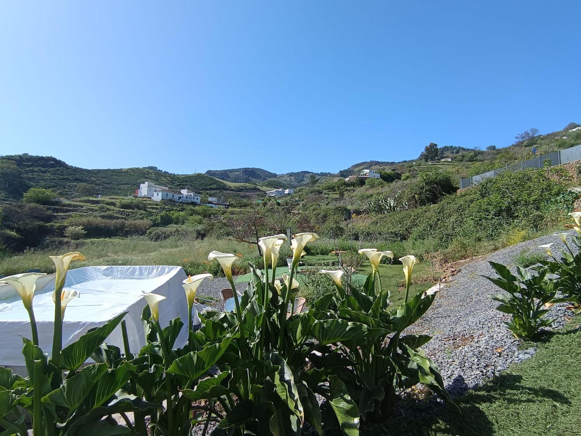 Vv Rural Finca Ecocielo Веґа-де-Сан-Матео Екстер'єр фото