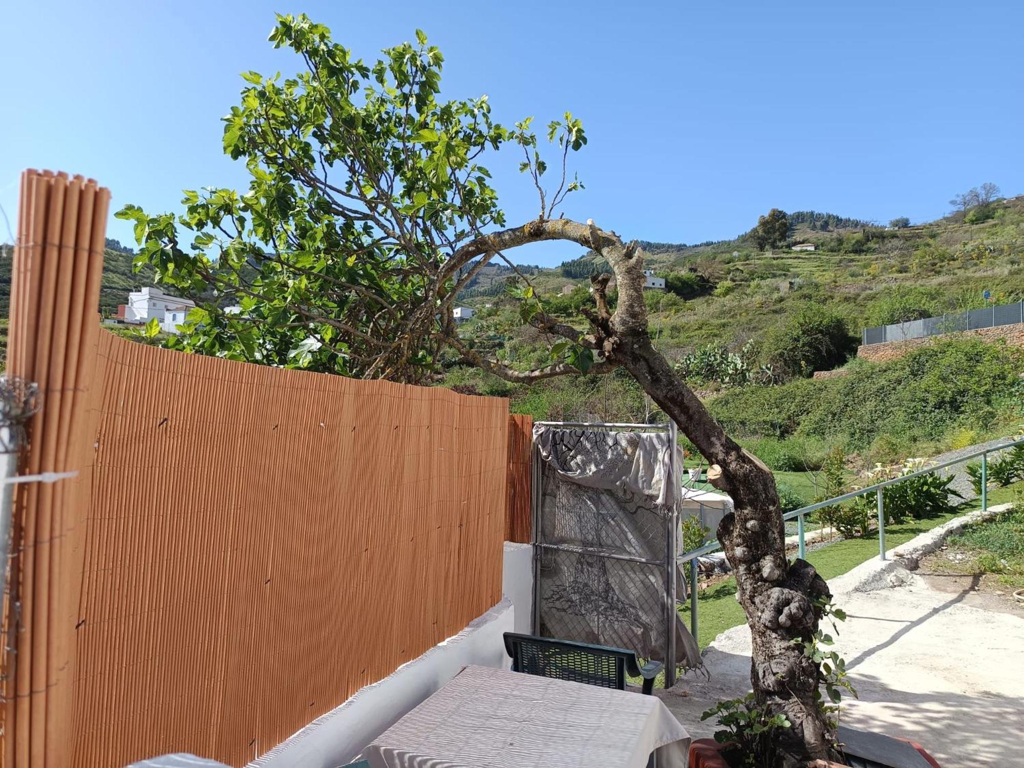 Vv Rural Finca Ecocielo Веґа-де-Сан-Матео Екстер'єр фото